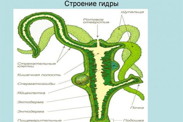 Кракен тор браузер