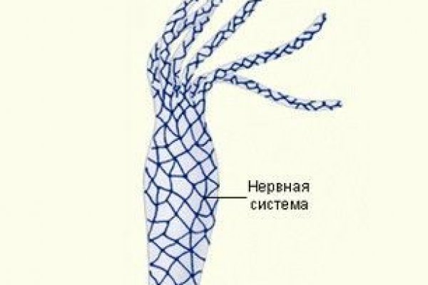 Kraken shop зеркало krmp.cc