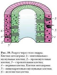 Оригинальный сайт кракен