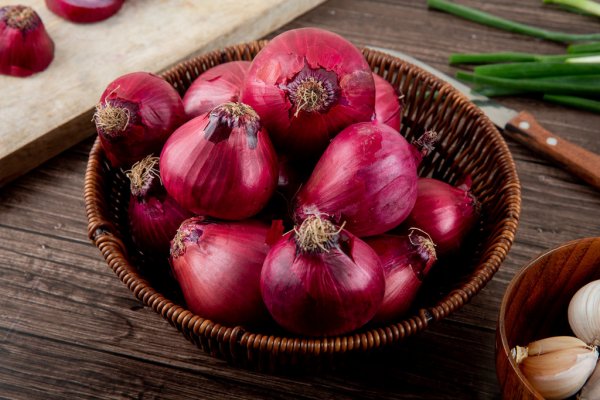Hydraruzxpnew4af onion com