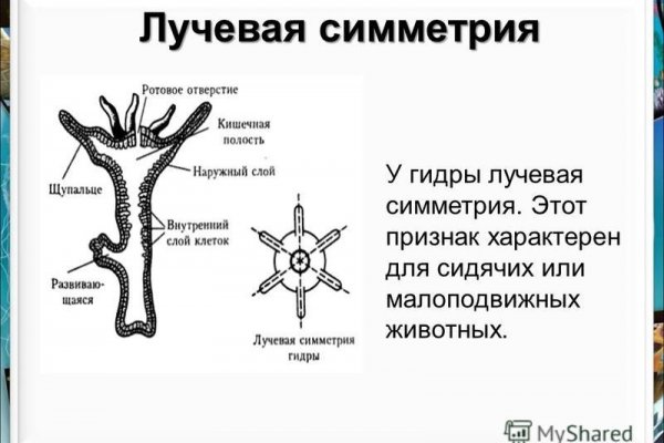Вы забанены на гидре