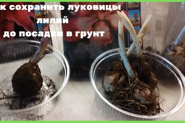 Кракен krakens13 at